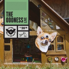The Oddness live  - CHI WOW WAH TOWN 2018