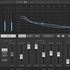 Pro Audio DSP DSM V3