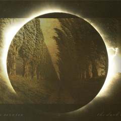 The Dark Light