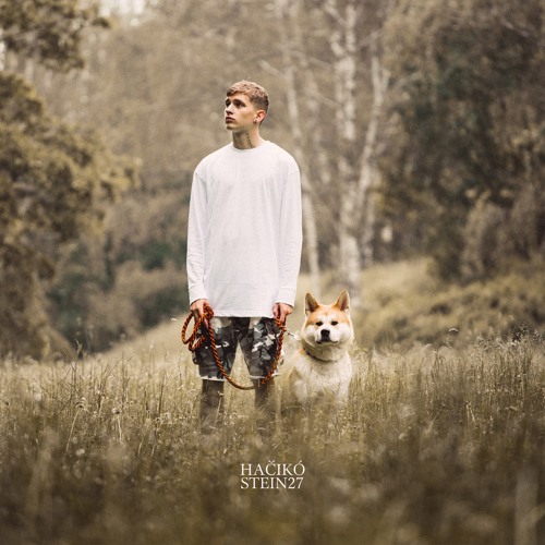 STEIN27 ‒ Hačikó (prod. Fadex)