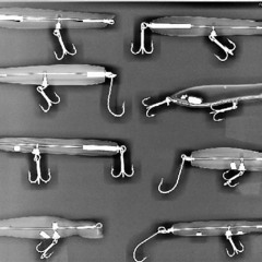 Hounds And Babes/Falling Out:  Nantucket X-Ray Session