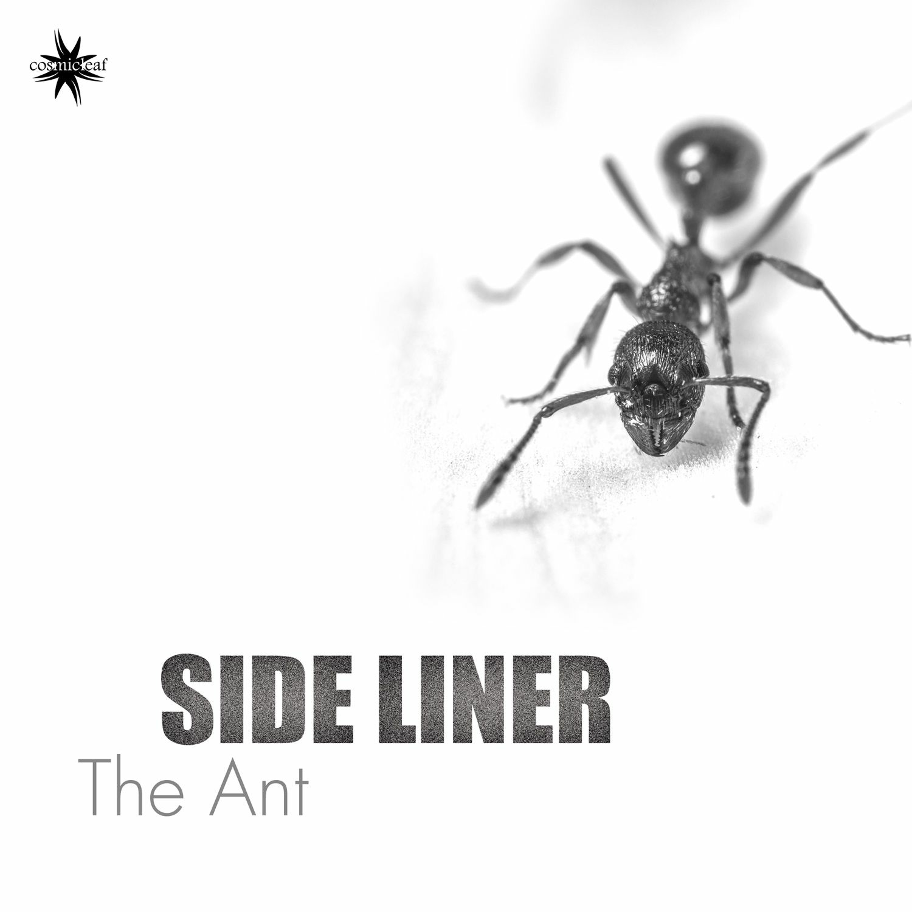 Side Liner (#downtempo) Renil Edis (#techno)