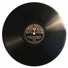 Blank Vinyl Record Noise