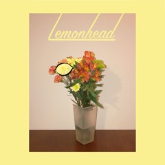 Lemonhead