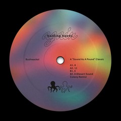 Premiere: Bushwacka! - 8 (Desert Sound Colony Remix)