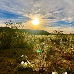 Spire Studio Project (27) - Copy 1 - Anytuned 1.00 semi 1.10x EQ HQ