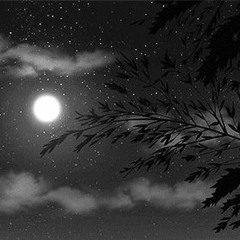 late_night_001