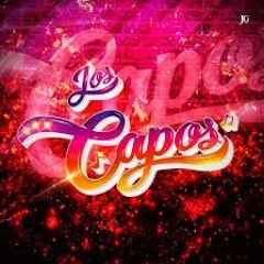 Mix Sureño - Agrupación Los Capos 2019