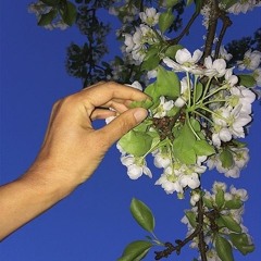 Ominous  (@hotboytech)