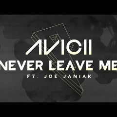 Avicii - Never Leave Me Ft. Joe Janiak (Original)