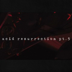 Teik Arô - acid resurrection pt.5