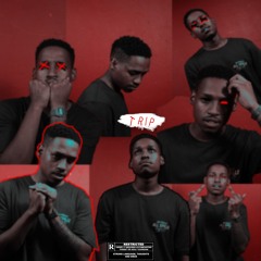 Trip (prod.by Millz)