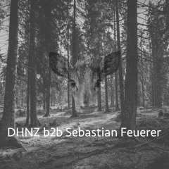 [Live-Mitschnitt 002] DHNZ b2b Sebastian Feuerer @ DaR-Rave (29.05.2019)