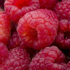 Sonic Is Building Momentum - Raspberry - FREE
