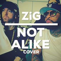 Eminem - Not Alike ft. Royce da 5'9" (Cover by ZiG)