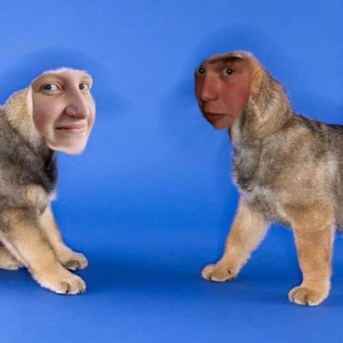 Everything Goes My Way