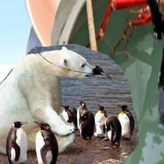 LOVE THE PENGUIN FLOCK (HATE THE POLAR BEAR RADIO EDIT)