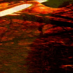 aPatchofNettles & NumbersInTheDream - The Sliding Sun