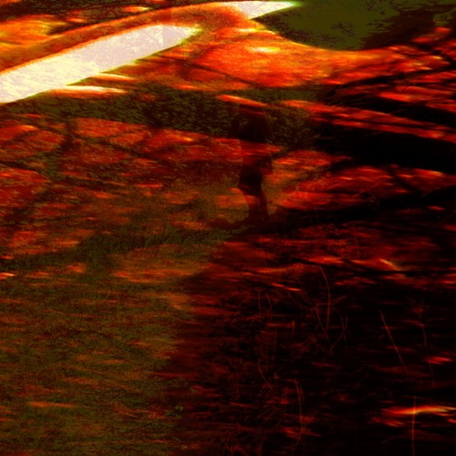 aPatchofNettles & NumbersInTheDream - The Sliding Sun