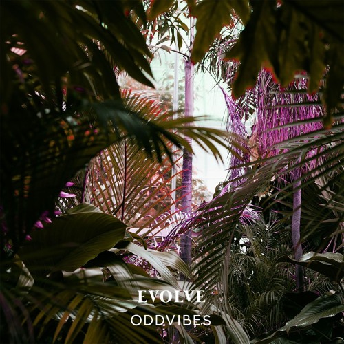 Evolve