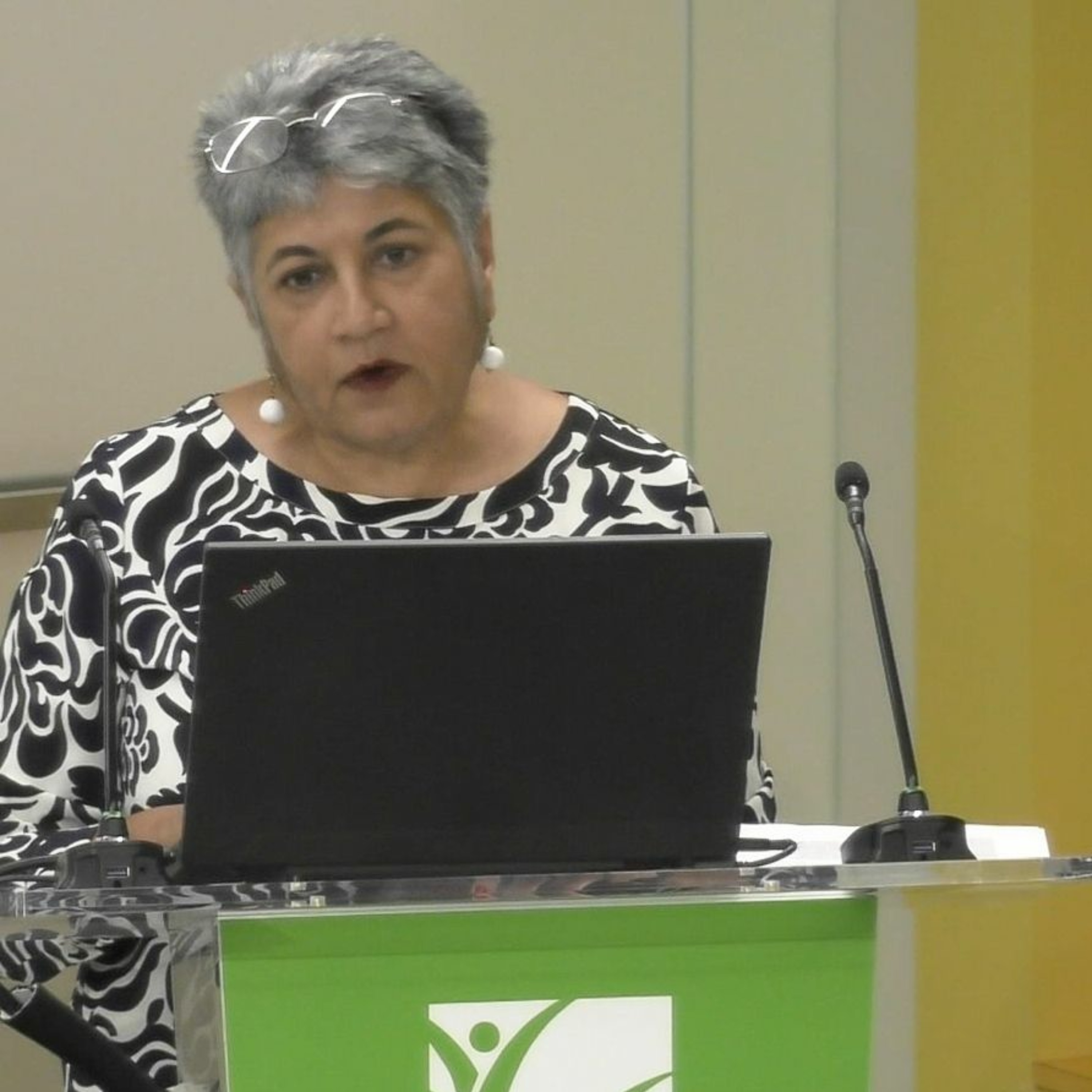 IFPRI Special Event:  The Shape of Food Security - 6/4/4019 - RPandya-Lorch episode artwork