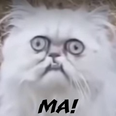 Blink Muh Fuckka