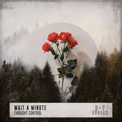 Thought Control - Wait a Minute (Extended Mix) [Hot Sunday] [MI4L.com]