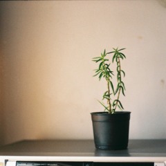 DJ Tool #3 para tiempos sin Casino