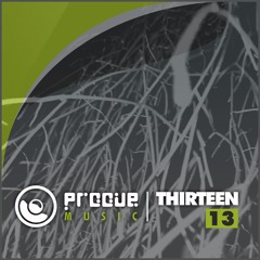 Thirteen - Chance McDermott Remix