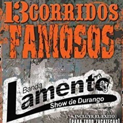 Rigo campos