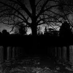 alocer graveyard project