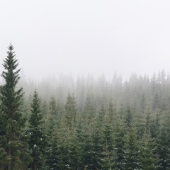 Bruckner_No4_1  (Best Service THE ORCHESTRA)