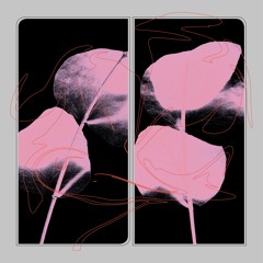Lifted - Purplelight Wish (PAN 85)