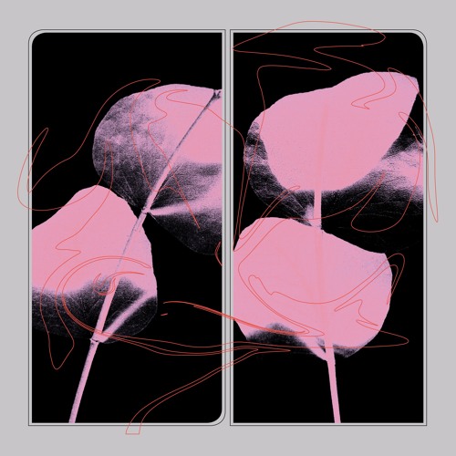 Lifted - Purplelight Wish (PAN 85)