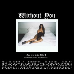 Without You (A Year With Mila J)