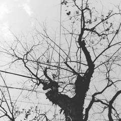 You Are The Reason - Calum Scott (Cover)