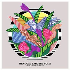 Psycho Tropiques - Orangoline (Original Mix)
