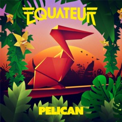 Equateur - Pelican (Caspian Pool remix)