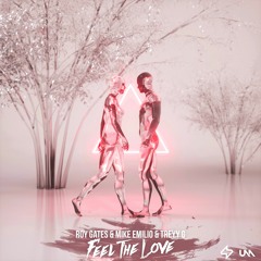 Roy Gates & Mike Emilio & Treyy G - Feel The Love