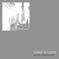 Surge Acoustic - Karma Works Onesnipp