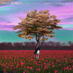 Travis Murray - Crave (feat. Sydney Beau)