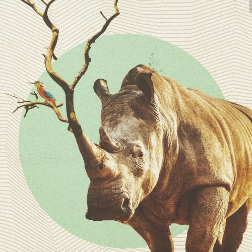 Jungle