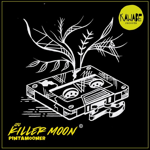 Pintamooner - Killer Moon (Original Mix)