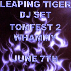Tomfest 2 - DJ Set (Recorded Live)