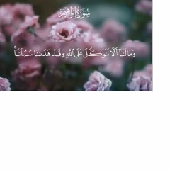 وَمَا لَنَا أَلَّا نَتَوَكَّلَ عَلَى اللَّهِ وَقَدْ هَدَانَا سُبُلَنَا