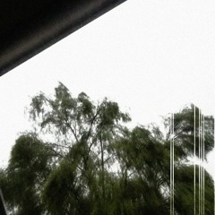 watching the sun rise