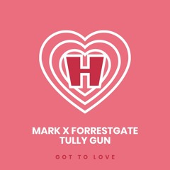 Mark X Forrestgate, Tully Gun - Got To Love