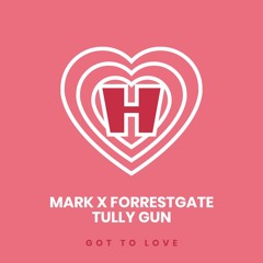 Mark X Forrestgate, Tully Gun - Got To Love