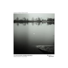 Oleksandr Demianenko - Native Home In The Forest (Spitzer Ambient Series 2019)