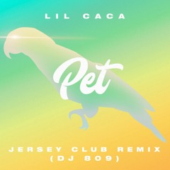 Pet (Jersey Club Remix) [feat. DJ 809]